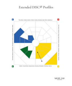 Extended DISC® Profiles