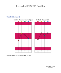 Extended DISC® Profiles